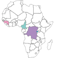 kaart van afrika met Congo, Guinee, Kameroen en Rwanda gekleurd